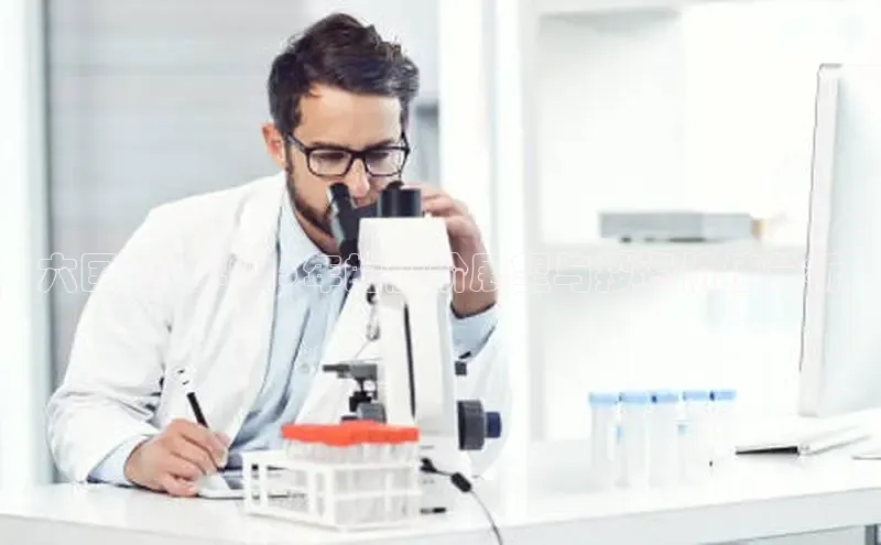 伟德betvlctor下载